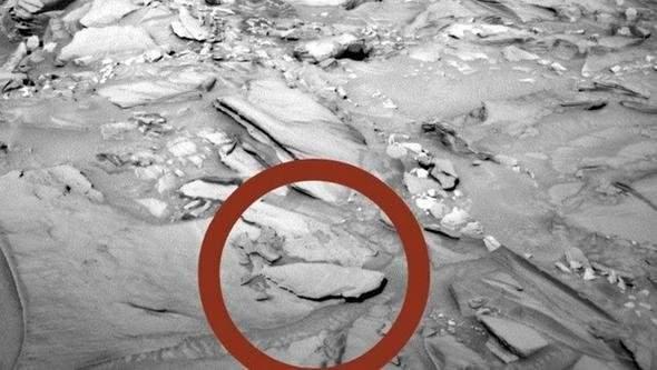 <p>Mars yüzeyinde bulunan uzay aracı Curiosity tarafından çekilen fotoğrafa dikkatli bakıldığında ortalara doğru alt taraflarda tıpkı balığı andıran bir nesne göze çarpıyor.</p>

<p> </p>

