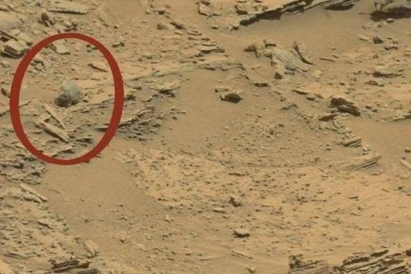 <p>Mars yüzeyinde; gözlere, bir buruna, üst çeneye ve iyi korunmuş bir kafa tasına sahipmiş gibi duran tuhaf biçimli bir kaya dikkat çekiyor.</p>

<p> </p>
