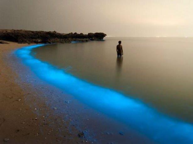 <p>Bioluminous Larak</p>

<p>İran Larak kıyısında yürürken PooyanShadpoor'dan gelen fotoğraf...</p>
