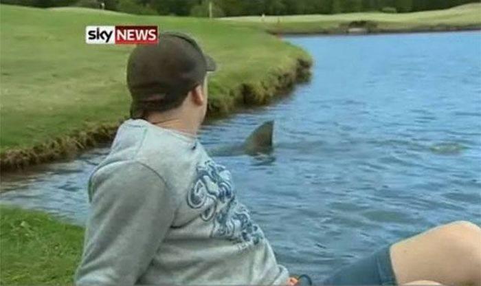 <p>Köpekbalıkları golf sahanızı ziyaret edebilir...</p>
