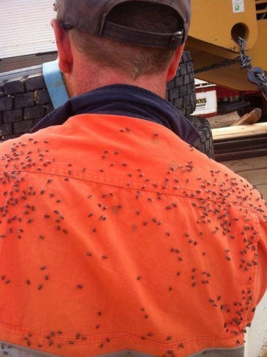<p>Hatta giydiğiniz t-shirte göre sizi bile...</p>
