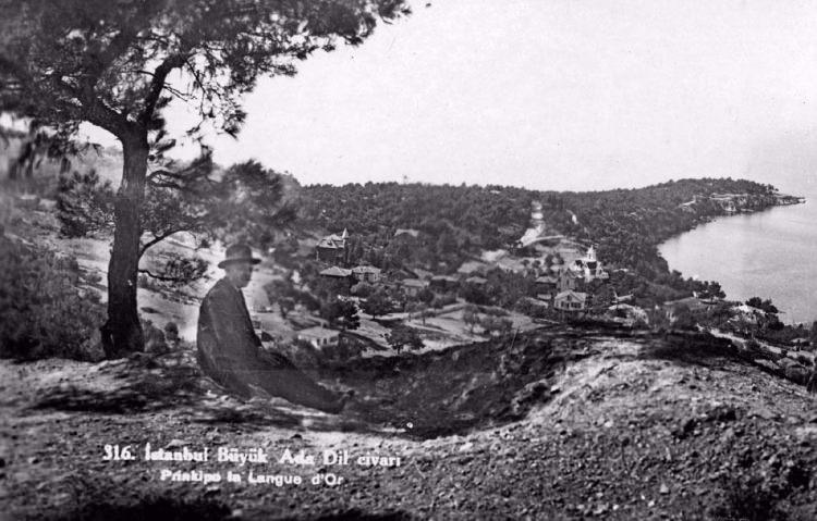 <p>Büyükada İstanbul Dil civarı / 1916</p>