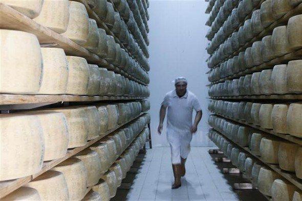 <p>Biz çiftlikte İtalya, Hollanda ve Fransa menşeli 24-25 çeşit peynir üretiyoruz. Bu kadar çeşit peyniri bir arada üretmek hakikaten zor. Biz bunu başardık. Sürdürmek için de bütün gücümüzle çalışıyoruz. Bizim üretimimizle bu boşluğun yüzde 70'ini doldurduk. Yani bizim üretimimizle ithalat yaklaşık yüzde 70 azaldı. Peynirlerimizi tamamen çiftlikte doğal koşullarda üretilen hayvanlardan elde edilen sütlerle yapıyoruz." şeklinde konuştu.</p>
