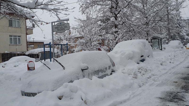 <p>BARTIN</p>
