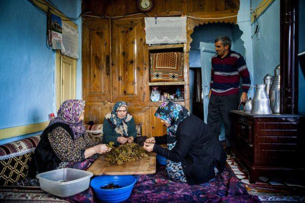 <p>Yağcılar'da gök üzüm yetiştiren Ramazan Yiğit ise üzüm üretiminin çok zahmetli bir iş olduğuna işaret ederek,</p>
