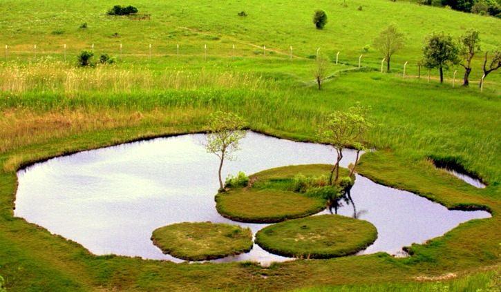 <p>Yüzen Ada</p>

<p>Bingöl</p>
