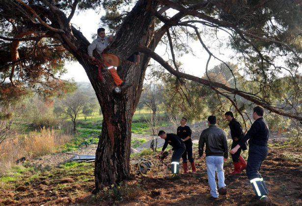 <p>Manisa'nın Soma ilçesinde çam ağacını kesmek için ağaca çıkan Sait Karagöz (33), gövdesine çıktığı çam ağacını keserken sıkıştı.</p>

<p> </p>
