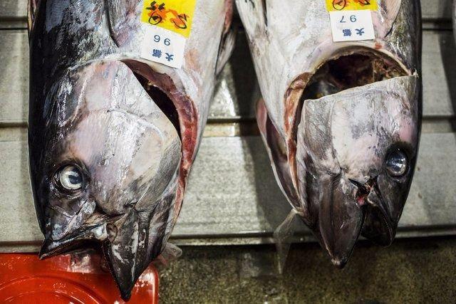 <p>Japonya: 45.9</p>

<p> </p>
