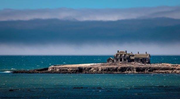 <p>Deniz filleri ve çeşitli su kuşları burayı üreme alanı olarak kullanıyorlar.</p>
