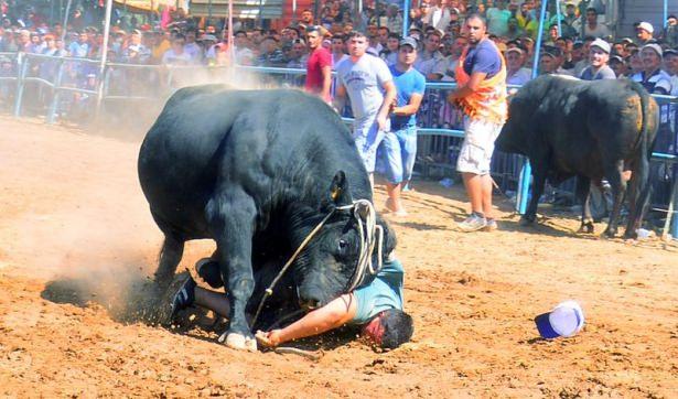 <p><strong>Muğla'daki boğa güreşinde faciaya ramak kaldı</strong><br />
<br />
Muğla'nın Menteşe ilçesine bağlı Akkaya Mahallesi'nde bu yıl 16’ncısı düzenlenen boğa güreşlerinde, kızgın boğa sahibini hastanelik etti.</p>