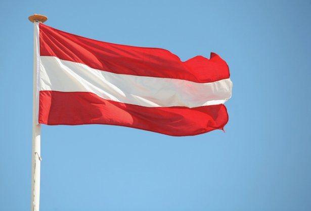 <p><strong>Avusturya</strong><br />
<br />
88.108 Türk yaşıyor.</p>