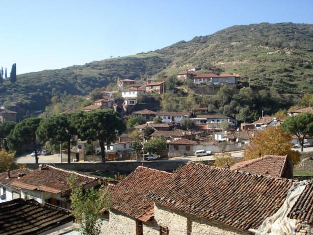 <p>Ödemiş - 13 adet</p>