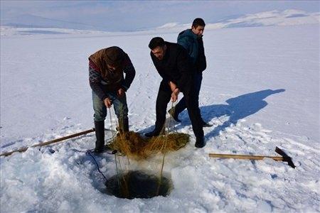 <p>Bitlis'in Ahlat ilçesinde vatandaşlar, yüzeyi donan Nazik Gölü'nde balık avladı. İlçeye bağlı Ovakışla beldesi ile Nazik, Gölgören, Dilburnu ve Kırıkkaya köyü sakinleri, her yıl soğuk hava nedeniyle donan Nazik Gölü'nde tehlikeye aldırış etmeden balık avlıyor.</p>
<p> </p>