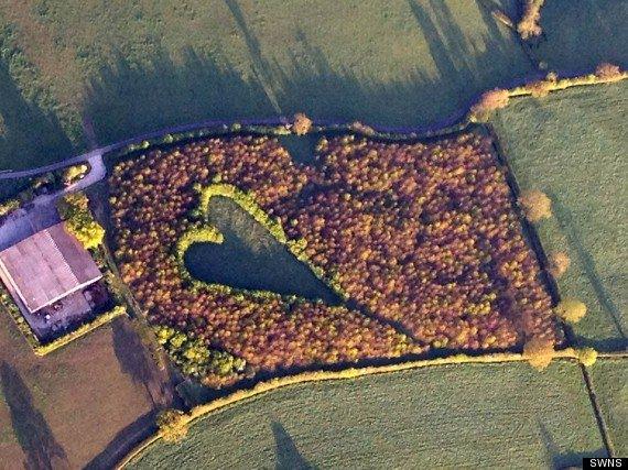 <p>Kalbin alt k&ouml;şesi, Janet&rsquo;in doğup b&uuml;y&uuml;d&uuml;ğ&uuml; &ccedil;iftliği işaret ediyor. Baharda ise kalbin olduğu noktada nergisler a&ccedil;ıyor.<br />
&nbsp;</p>
