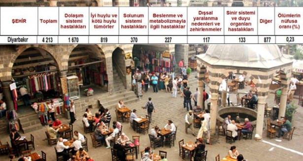<p>Diyarbakır</p>
