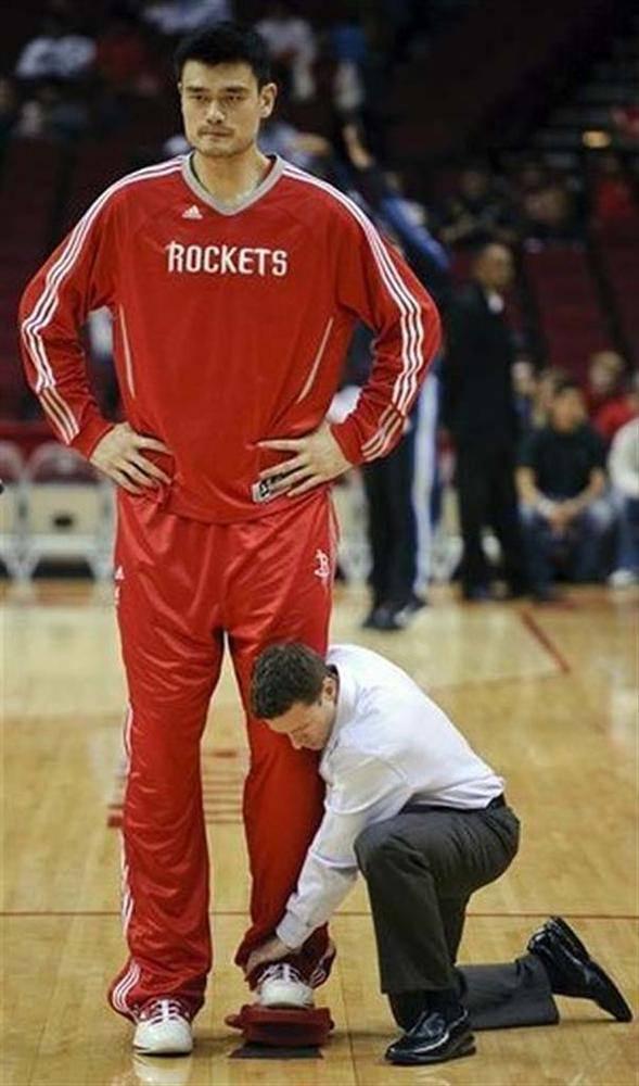 <p>Yao Ming</p>
