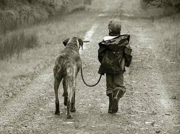 <p>Köpeklerin büyüttüğü erkek çocuk</p>