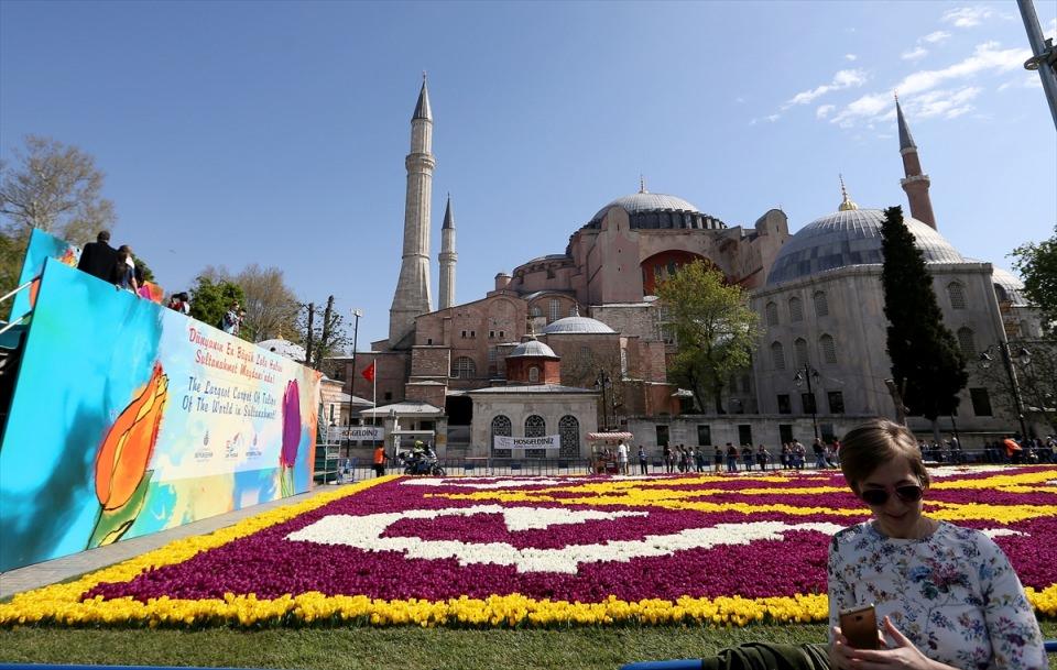 <p>Lalelerin, halı motifi kullanılarak dizayn edildiği 1453 metrekarelik alanda İstanbul'un fethine atfen 564 bin lale kullanıldı.</p>
<p> </p>