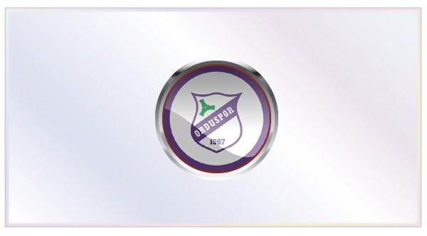 Gelenler: Vicente Monje (Olympiakos), Nizamettin Çalışkan (Manisaspor), Hüsamettin Tut (Çankırı), Şamil Cinaz (Frankfurt), Roversio (Osasuna), Ferhat Çökmüş (Manisaspor), Bogdan Stancu (Galatasaray) Gidenler: Abdurrahman Dereli (Kasımpaşa), Sedat Bayrak, Hakan Özmert