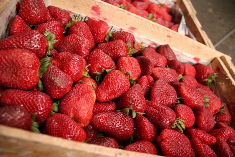 <p><strong>Çilek ve ananas </strong>gibi meyveleri bu karışıma ekleyebilirsiniz. </p>