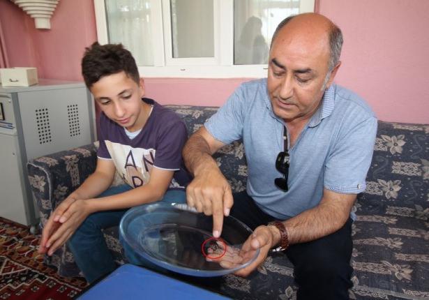 <p>Balkona tırmanırken gördük. Böceğin ne böceği olduğunu ilk etapta kestiremedik. Şaşırtıcı bir böcek. Daha sonra böceği internet üzerinden araştırınca bunun Asya kıtasında ormanlık alanlarda ve sıcak iklimlerde yaşayan gergedan böceği olduğunu öğrendik" dedi.</p>