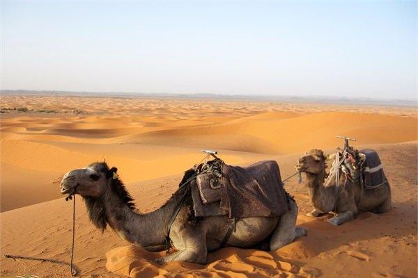 <p>1- Marakeş, Fas</p>

<p>&nbsp;</p>
