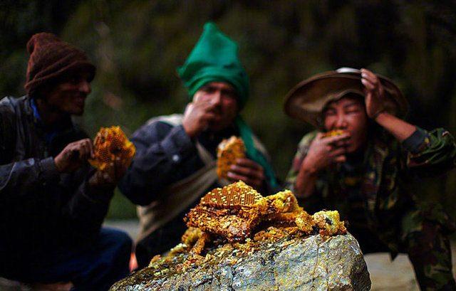 <p>İşte bu şartlarda çıkarılan Nepal balı bugün dünyanın en lezzetli balı olarak biliniyor.</p>

<p> </p>
