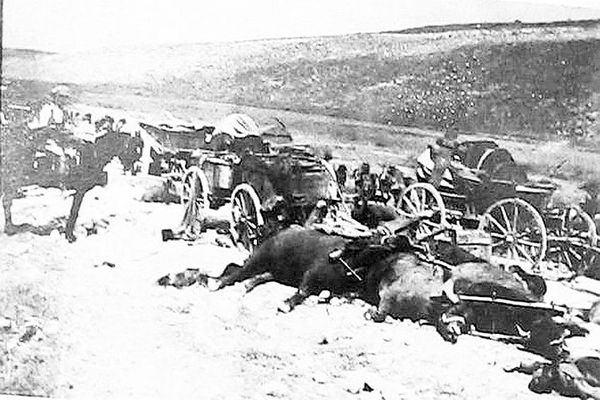 <p>Filistin cephesi / intikal halindeyken Nablus yolunda İngiliz uçakları tarafından saldırıya uğrayan bir topçu bataryamızdan geriye kalanlar - 1917</p>
<p> </p>