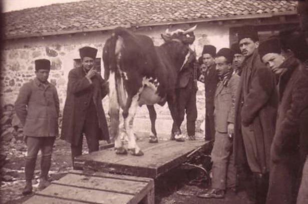 <p>Osmanlı geleneğinde ev sahibinin gücü varsa, kendi ev halkı yanında, kendine yakın olan konak dışı kimselere de kurbanlık hediye etmesi de âdettendi.</p>

<p> </p>
