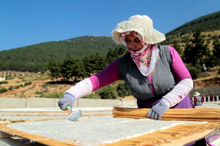 <p>Yavuz Sultan Selim'in Mısır seferinde ordusunun besin kaynağı olan Maraş tarhanası, tok tutan ve organik yönüyle her mevsim tüketiliyor.</p>

<p> </p>
