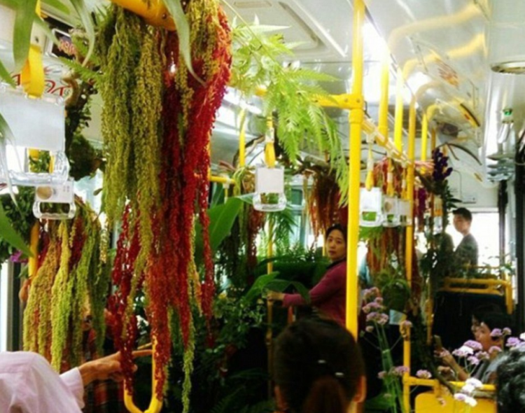 <p>Bu proje yerel bir çiçekçi tarafından standart bir toplu taşıma otobüsünün dekorasyonu ile hayata geçirilerek otobüslerin içi çiçek bahçesine dönüştü. </p>
