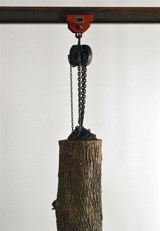 <p>Kanadalı sanatçı Maskull Lasserre, bir parça odundan muhteşem bir sanat eseri yaptı. </p>

<p> </p>
