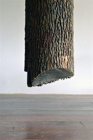 <p>Ağacı ince ince oyarak, halat görünümü veren ünlü sanatçının "Schrodinger's Wood" isimli çalışması büyük beğeni aldı. </p>

<p> </p>
