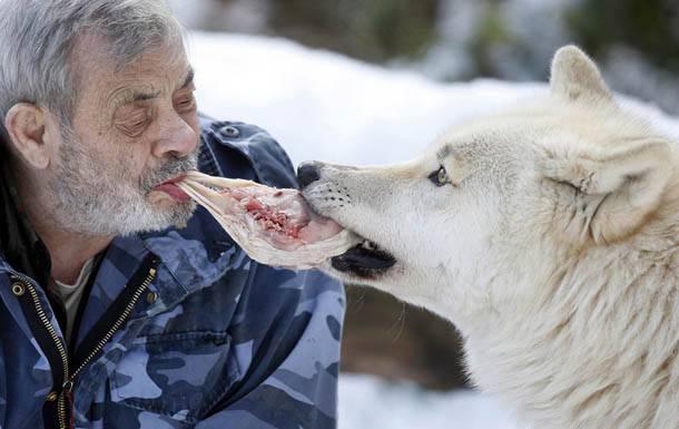 30 bin nüfuslu Merzig şehrindeki barınağın ismi Werner Freund Wolfspark.