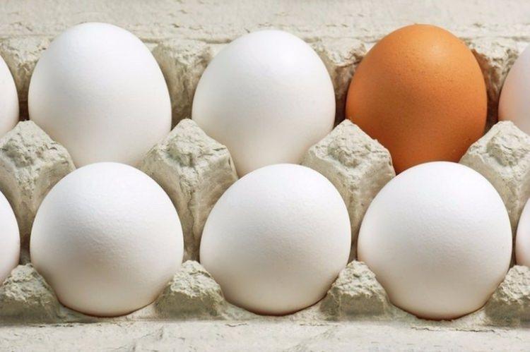 <p>Peki, bakkaldan veya marketten yumurta alırken kabuğunun rengi sizin için önemli mi, bu konuda bir tercihiniz var mı? ve yumurtanızı doğru pişiriyor musunuz?</p>
