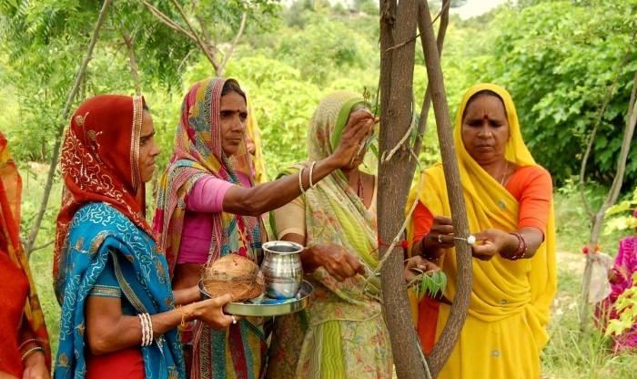 <p>Bir kız çocuğu Piplantri'nin Hint köyünde doğduğunda, sakinler onuruna 111 ağaç dikmek için bir araya gelirler.</p>
