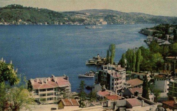 <p>Bebek, 1960'lar</p>

<ul>
</ul>
