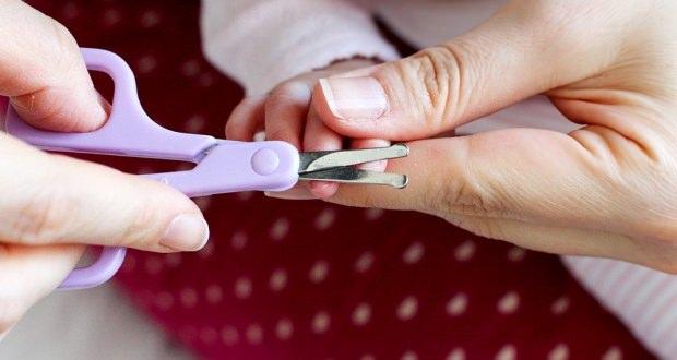 <p>Fakat artık eldiven giymeyi bırakan bebeklerin yüzünü ve gözünü tırmalamayı önleyecek bir şey olmadığından tırnaklarının erkenden kesilmesi gerekir. <strong>Bebekler için bebeğin etine zarar vermeyecek cinsten bir tırnak makası seçilebilir</strong></p>