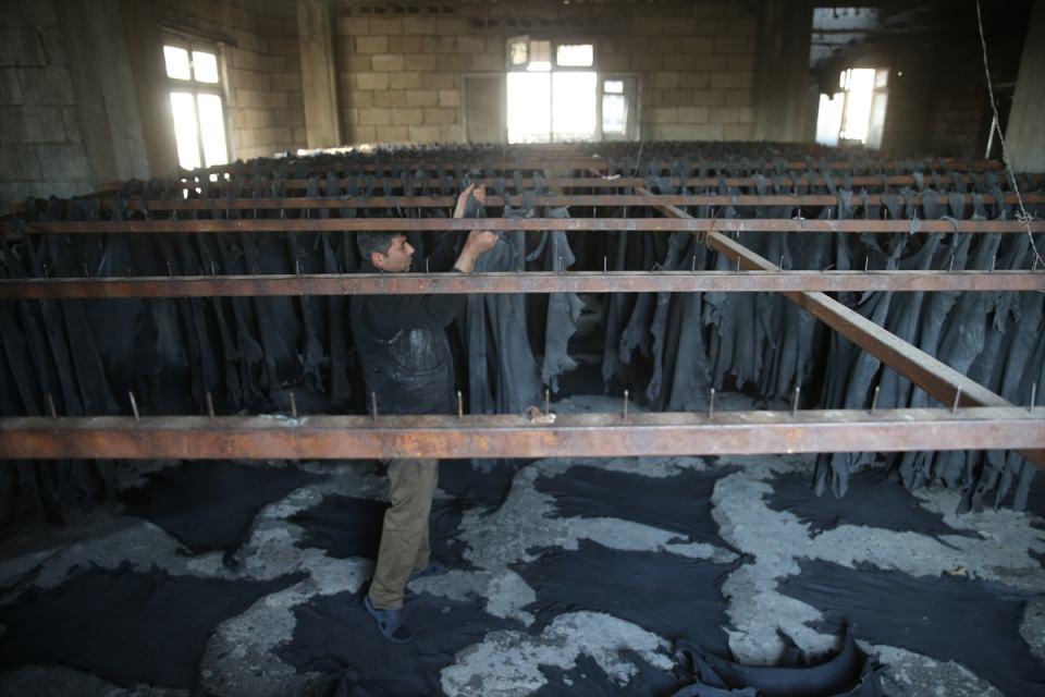 <p> Mehtap, derilerin işleme hazır hale getirilmesinin çok zorlu bir süreci kapsadığını belirterek, tüm aşamaların ardından derileri ayakkabı, mont, yemeni yapılan iş yerlerine gönderdiklerini söyledi. </p>
