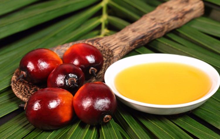 <p>Palmiye yağı olarak da bilinen palm yağı kalorisi yüksek ve doymuş yağ açısından da zengin bir yağdır.</p>
