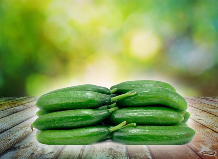 <p>Salatalığı tuzlayıp yemek de âdetiydi.</p>