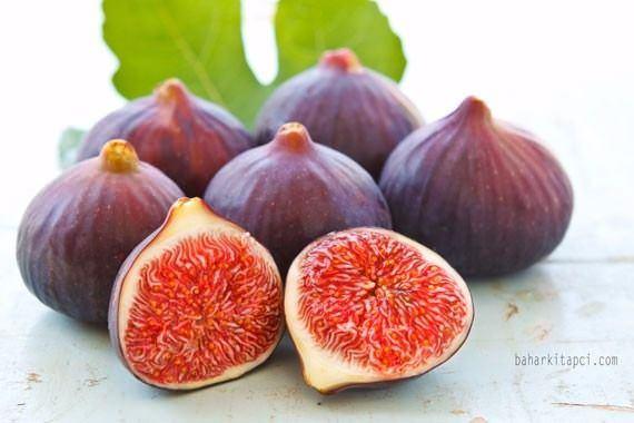 <p><span style="color:#FFFFFF">İncir (Ficus carica): İncir, besleyici gıda olup hazmı kolaydır. Meyvelerin çoğundan daha gıdalıdır.</span></p>