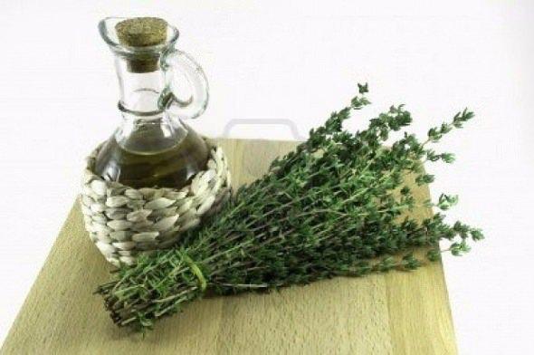 <p>Kekik (Thymus vulgaris): Ballıbabgillerden bir bitkidir. Çiçekleri, tomurcukları ve sapı baharat olarak kullanılır. Bazı türlerinin çiçekli, ve yapraklı dallarından damıtma usulüyle kekik yağı elde edilir. Yapraklı dalları çay olarak da içilir. Güzel ve hoş kokusu vardır. Peygamberimiz bir hasislerinde. “Evlerinizi- zaman zaman- akgünlük, yavşan, kekik ve gelin çiçeği gibi güzel kokulu otlarla tütsülendiriniz” buyurmuştur (Râmuz s.243).</p>