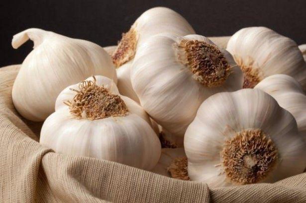 <p>Sarımsak (Allium sativum): Bu bitkinin toprak altındaki baş kısmı hem yenir ve hem de baharat olarak kullanılır. Hoşa gitmeyen bir kokusu vardır. Hadis-i Şeriflerde soğan ve sarımsağa “habis” hoşa gitmeyen şey denilmiştir. Nitekim Peygamber A.S.: “Her kim şu kötü kokulu (habis) bitkiden (sarımsaktan) yerse, ağzının kokusu gidinceye kadar mescidimize gelmesin” buyurmuştur (Müslim Hadis 76) .</p>
