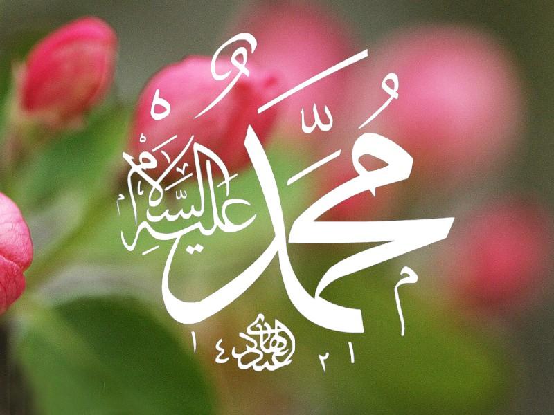 <p>Alnı yüksek, burnu çekme, boynu uzun, göğsü genişti.</p>
<p> </p>