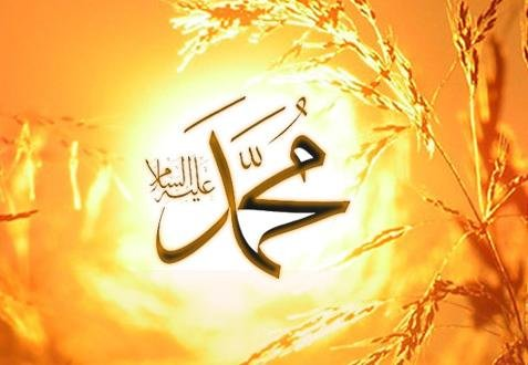<p><strong>Sahâbe'den Berâ bin Azib (r.a) de Rasûlüllah (s.a.v.) Efendimizi şöyle vasfetmiştir:</strong></p>
<p> </p>