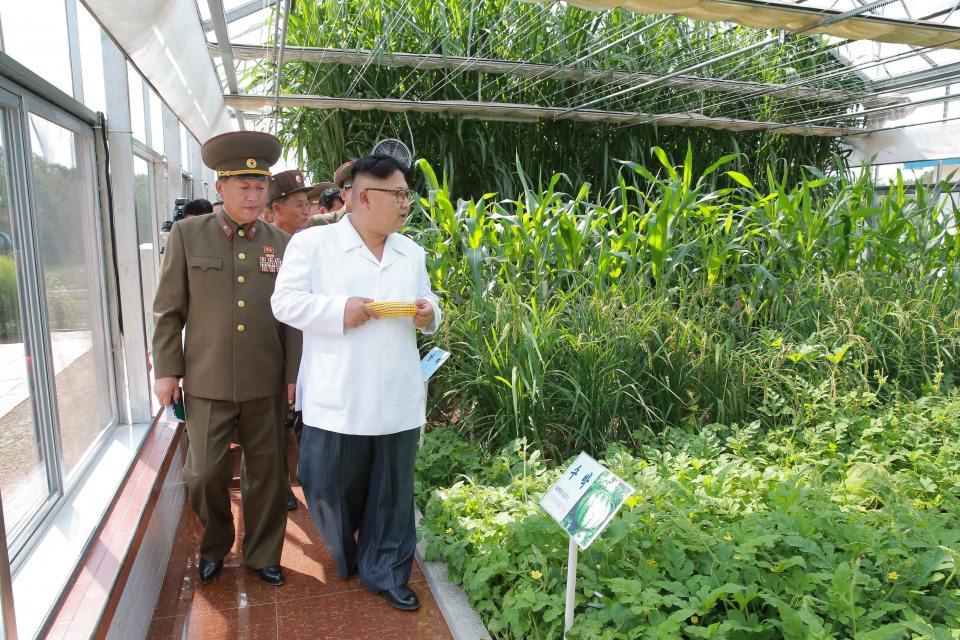<p>Dünyadaki en kapalı rejiminin yaşandığı Kuzey Kore'de Devlet Başkanı Kim Jong-un, bu güne kadar Savaş uçağından çocuk yuvasına kadar neredeyse her şeyi denetledi, denetliyor...</p>

<p> </p>
