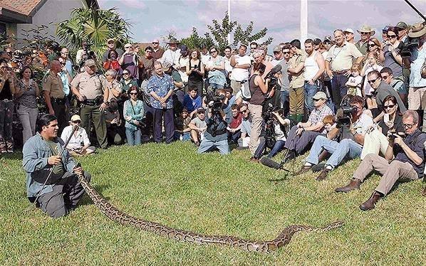 <p>Florida Vahşi Doğayı Koruma Komitesi tarafından Everglades milli parkında düzenlenen</p>

<p> </p>
