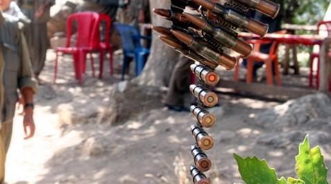 Hakkari Valiliği tarafından yapılan yazılı açıklamaya göre, terör örgütü PKK 'nın kullandığı bir mağaranın bulunduğu ihbarını değerlendiren güvenlik güçleri, Şemdinli İlçesi'nin Karadağ Bloğu Karıbitmeyen Tepe bölgesine operasyon düzenledi.