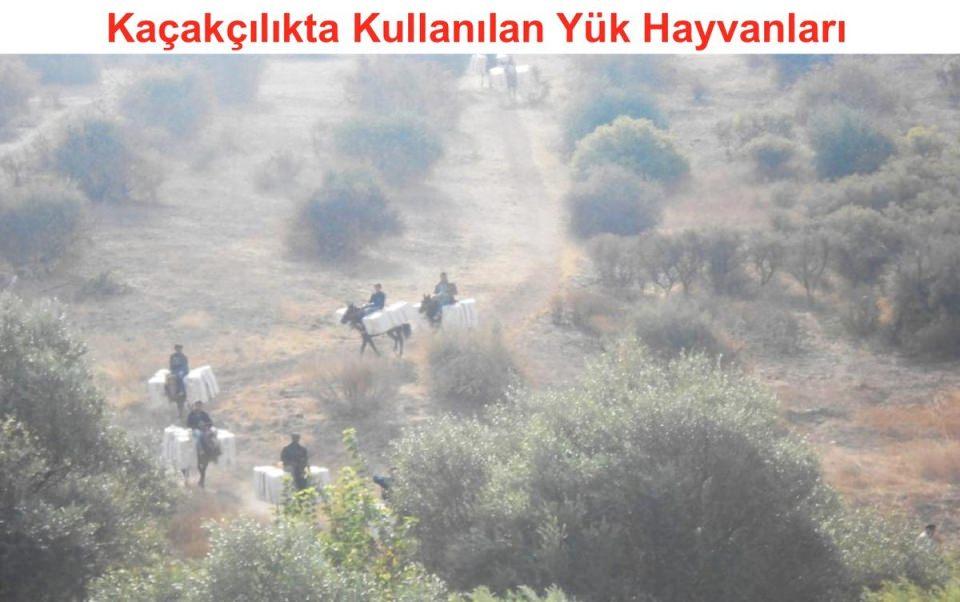 <p>Durum muhakemesi sonucunda sınır güvenliği faaliyetlerinin etkinliğinin artırılması kapsamındaki çalışmalara ağırlık veriliyor. Gerekli tedbirler alınıyor ve bu tedbirler kesintisiz uygulanmaya devam ediliyor.</p>
<p> </p>